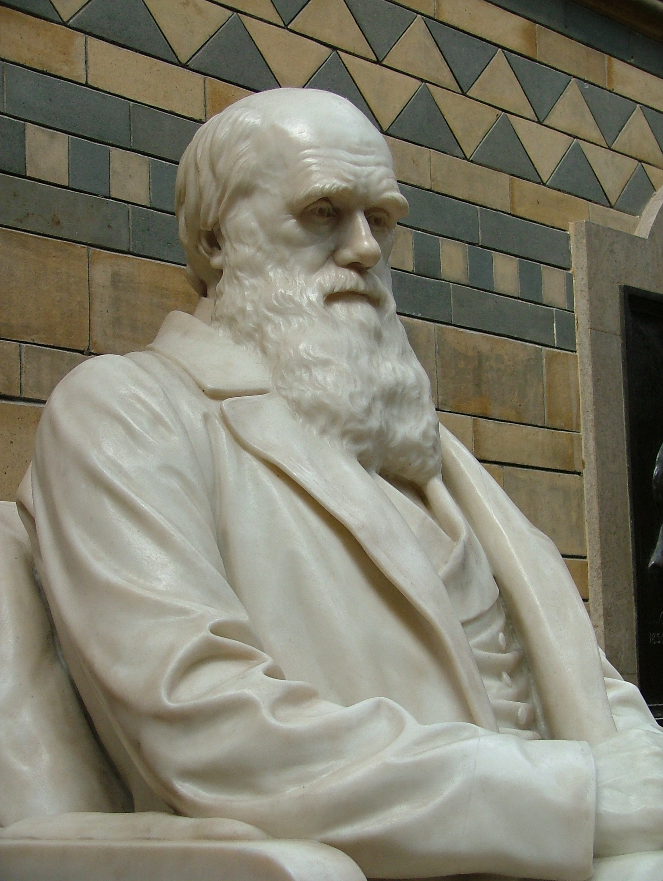DSCF3454 Darwin statue in the NHM